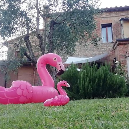 시에나 Agli Olivi Di Marciano 아파트 외부 사진